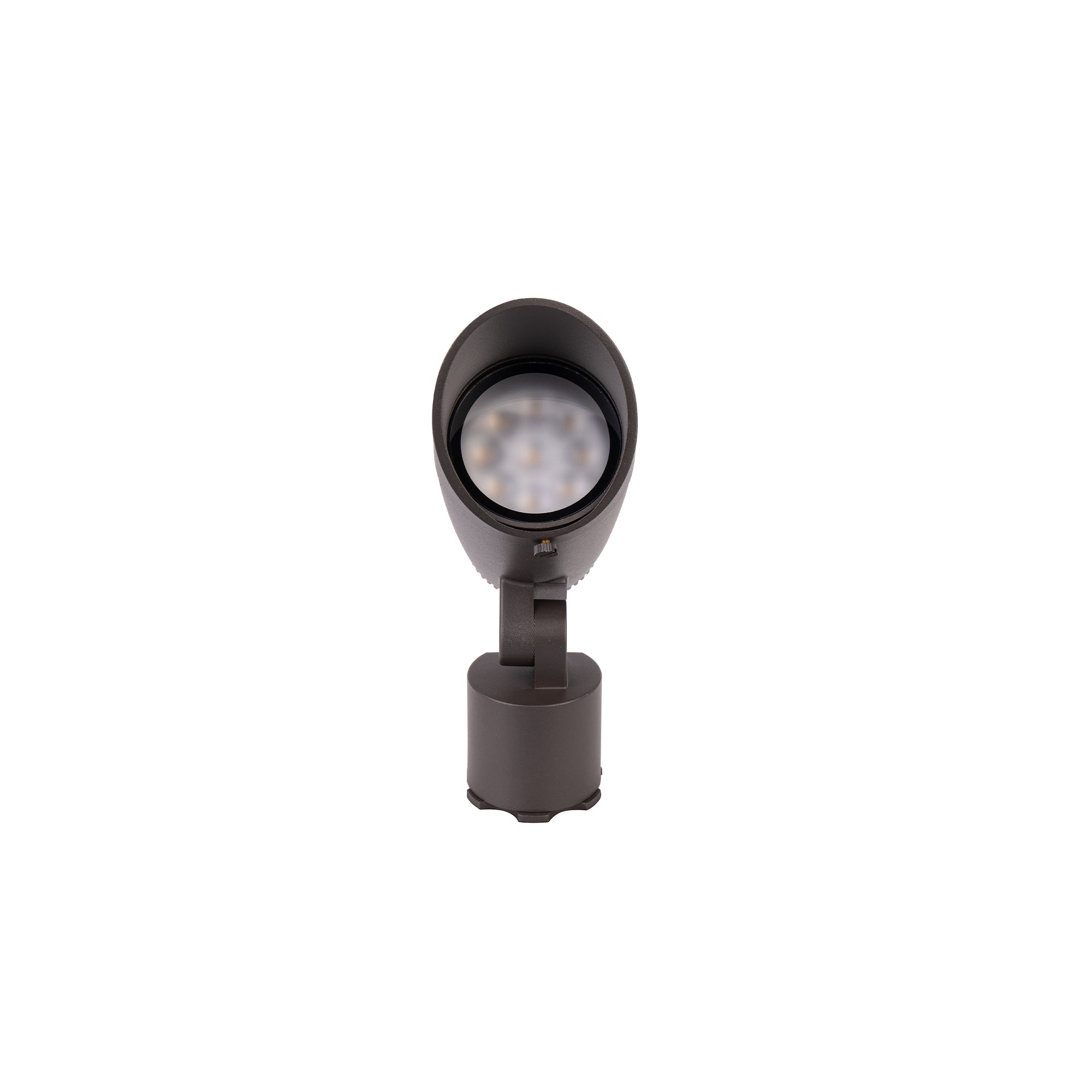 WAC Lighting Grand Accent Colorscaping