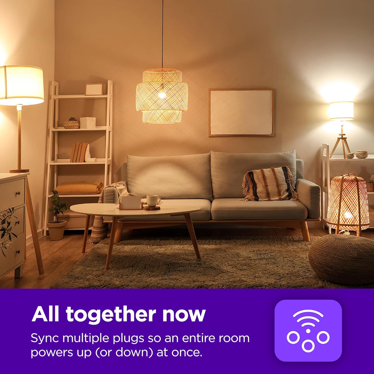 Roku Indoor Smart Plug SE 1 pack