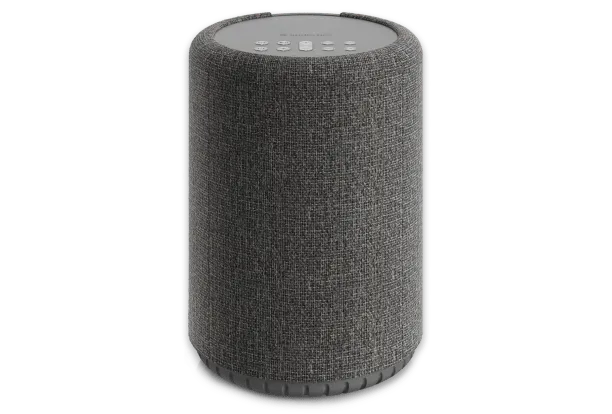 Wiim Edition Audio Pro A10