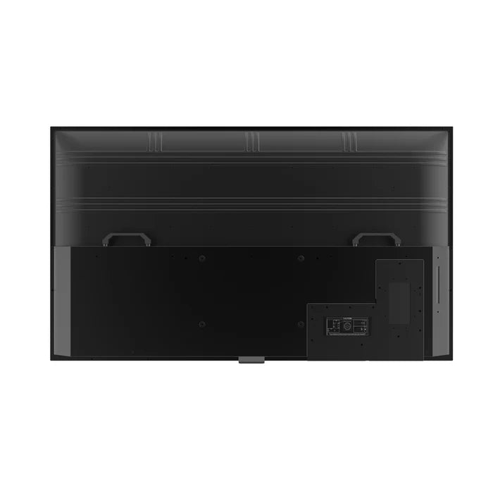 Neptune 65" Full Sun Outdoor TV