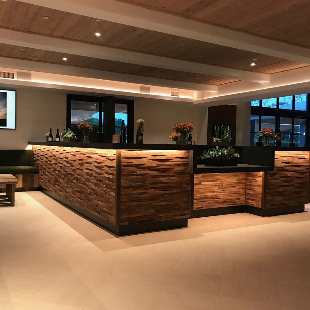 Diode Blade X 12 Year Warranty / 95+ CRI Tape Light 24V