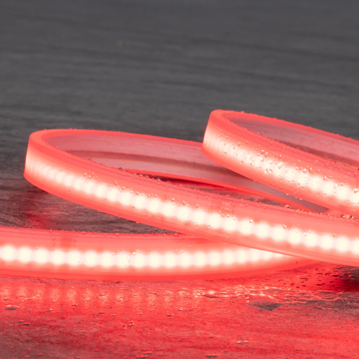 Proluxe PLX-HTL67COB-14MM-RGBW-CC Sauna COB IP67 RGBW (14mm), Special Order