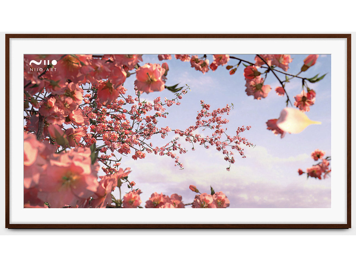 Leon Solé Frame for Sony BRAVIA 7 K-85XR70