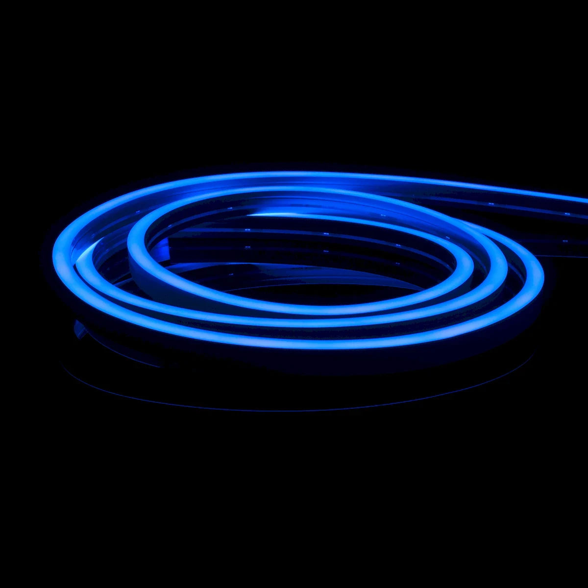 Proluxe PLX-NFPROL-BL-CC CUSTOM CUT SILICONE NEONFLEX, BLUE SIDE