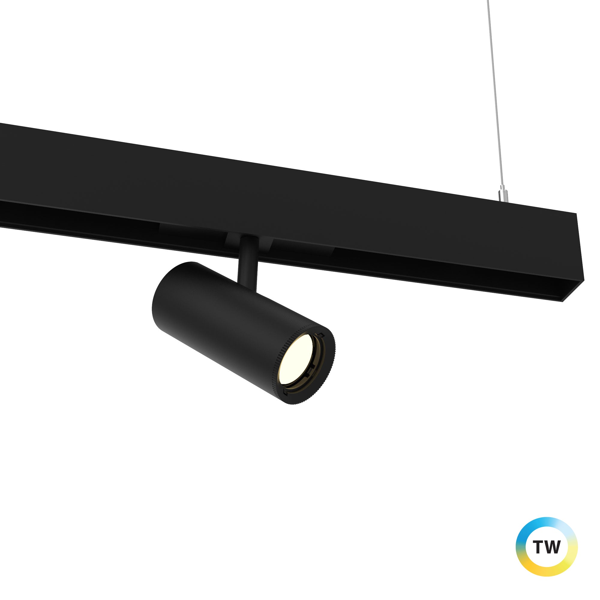 WAC VENTRIX Tunable White Silo S2SA-2