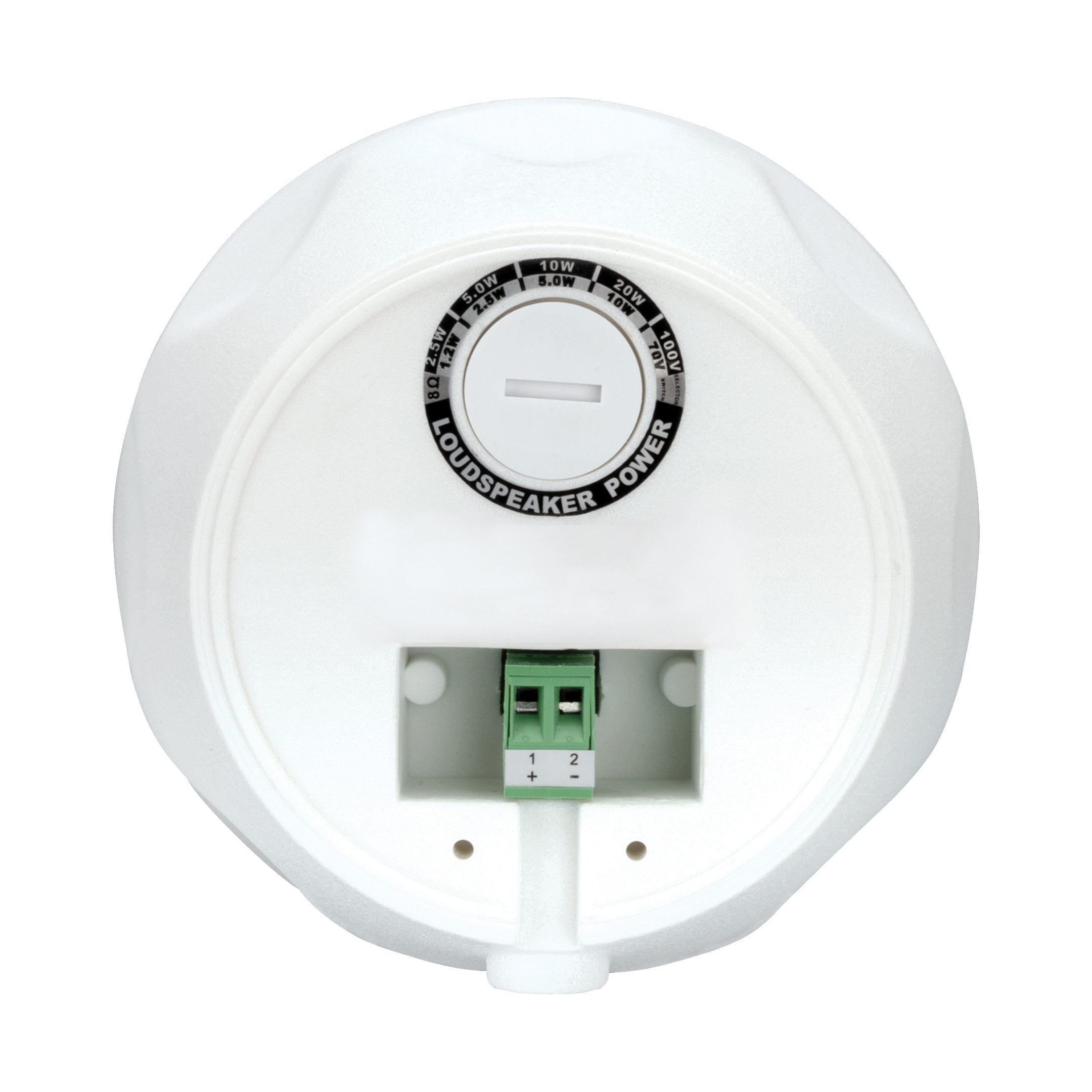 Beale Street Audio WP4VW-BSC 4″ On-Wall/Pendant Speaker, White