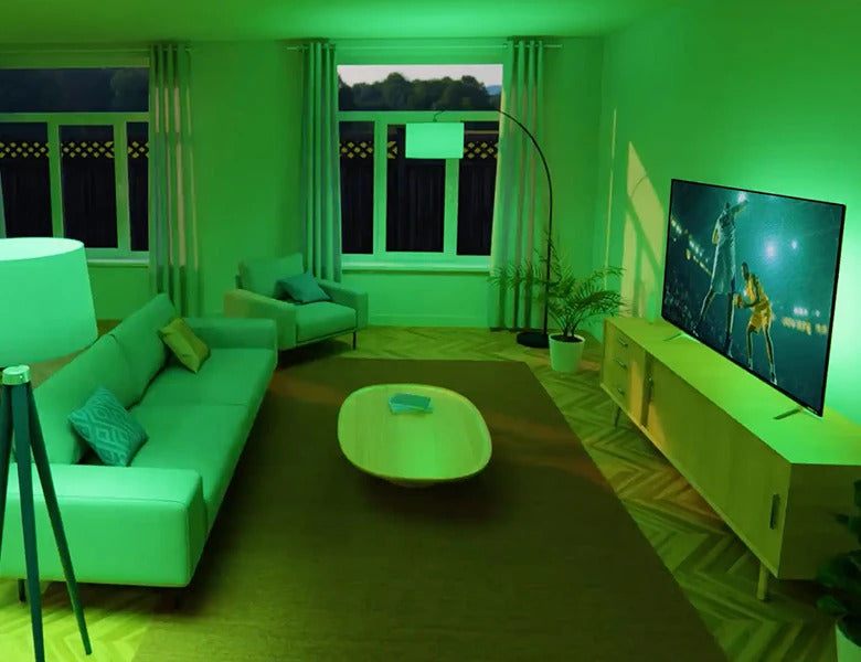 Roku Smart Bulb SE A19 Color 2 pack