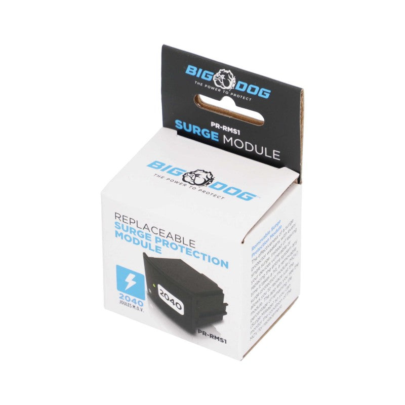 Big Dog Power Surge Module