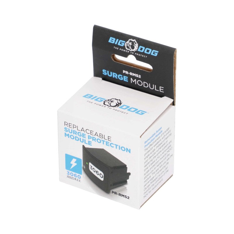 Big Dog Power Surge Module