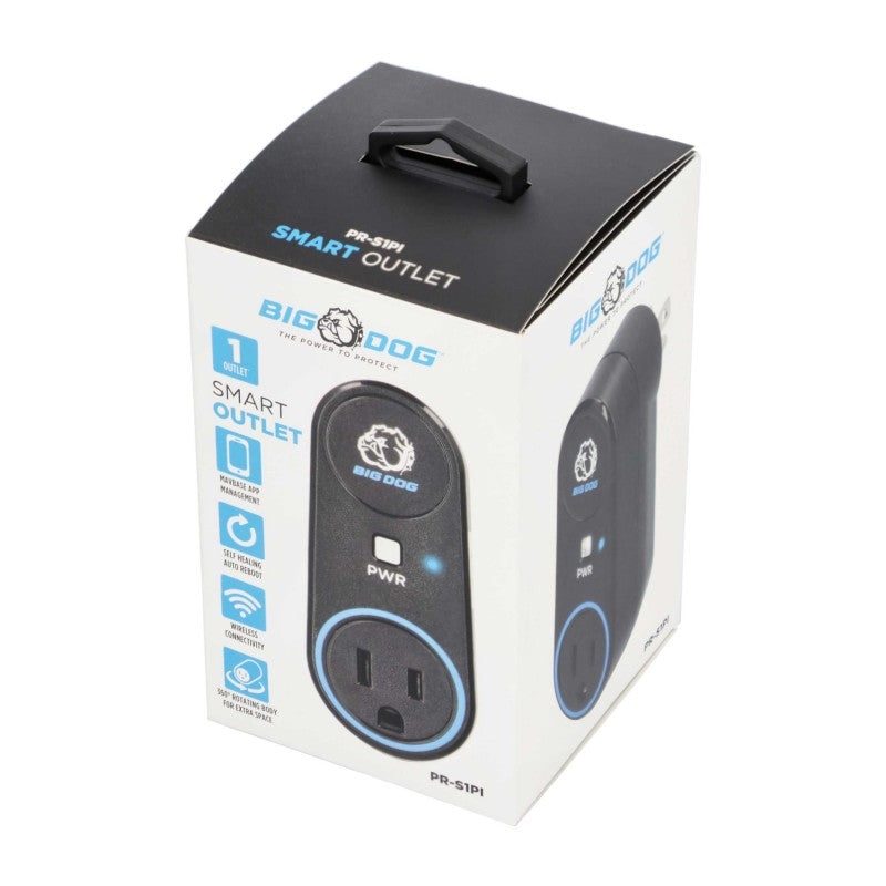 Big Dog Power PR-S1PI Wi-Fi Outlet
