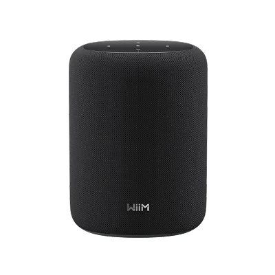 Wiim SOUND LITE Speaker