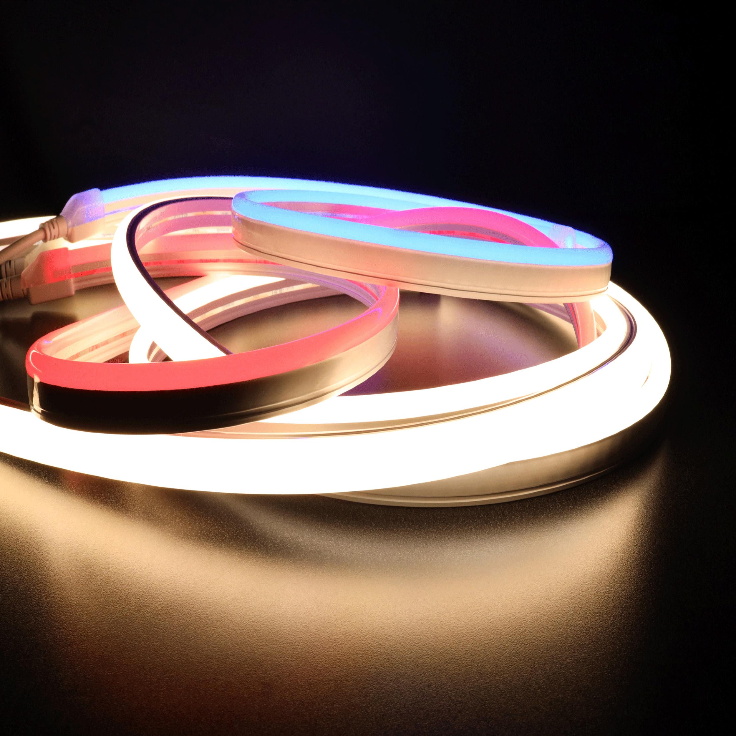 Diode NEON BLAZE Wet Location / IP65 / 5 Year Warranty / 80+ CRI Diffused LED Lighting (1.2W/ft) 65.6ft Spool