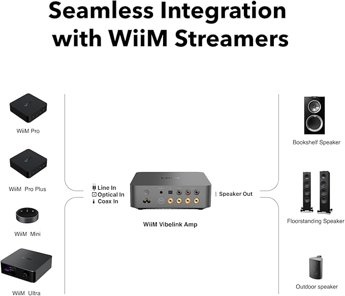 Wiim VibeLink Amp (Single Pack)