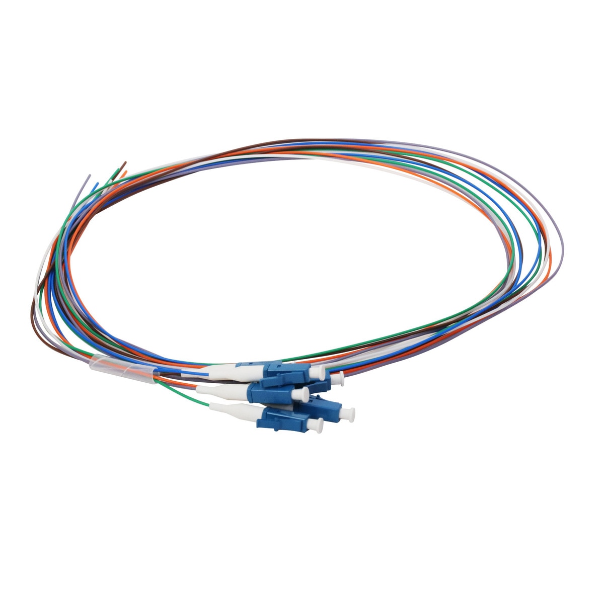 Cleerline PT-LC12-SM-3M Fiber Optic Pigtail Set, 12F OS2, Simplex LC/U