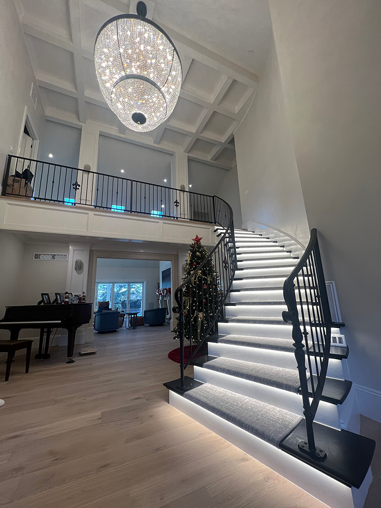 Diode Blade X 12 Year Warranty / 95+ CRI Tape Light 12V