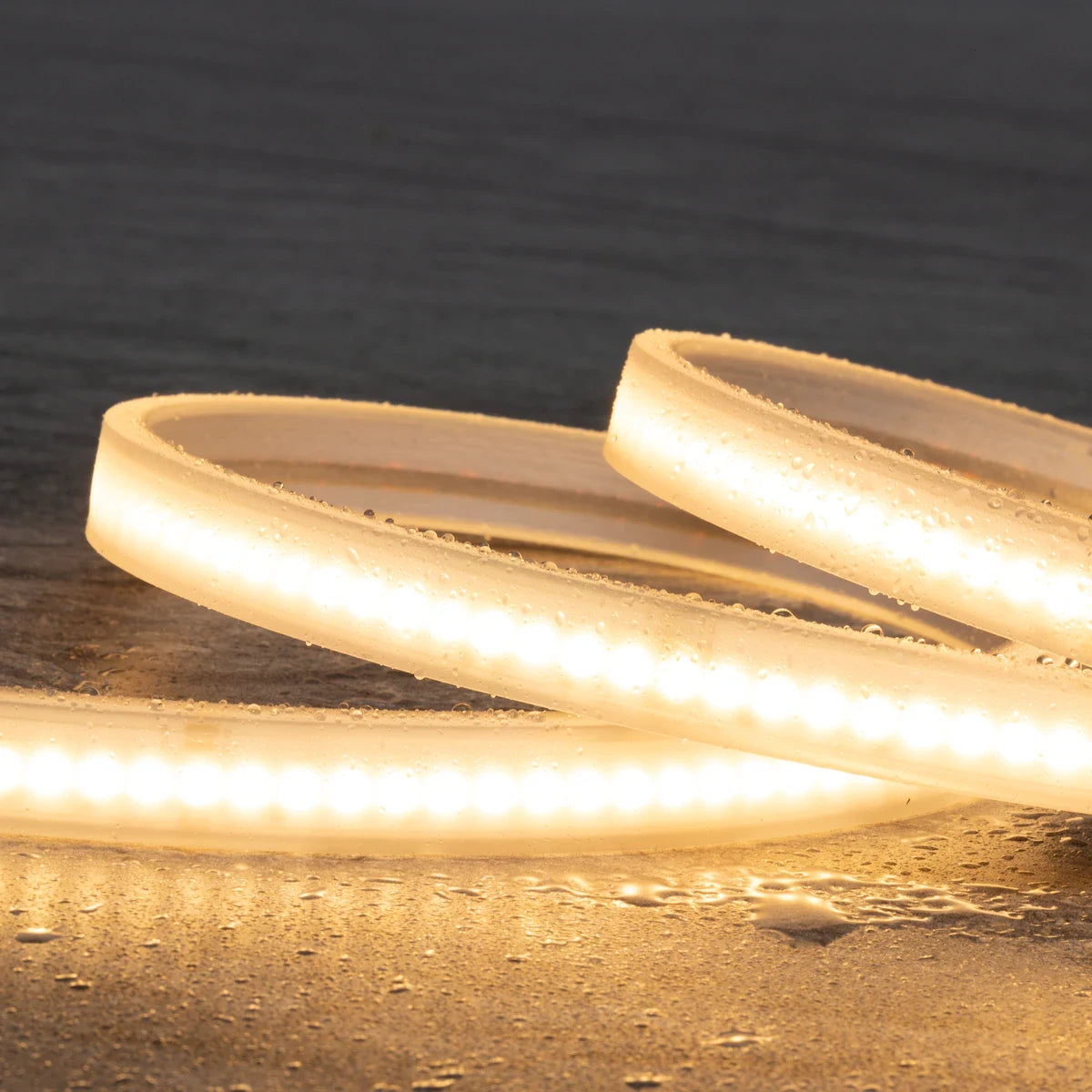 Proluxe PLX-HTL67COB-14MM-RGBW-CC CUSTOM CUT IP67 COB, RGBW, W/6FT LEAD