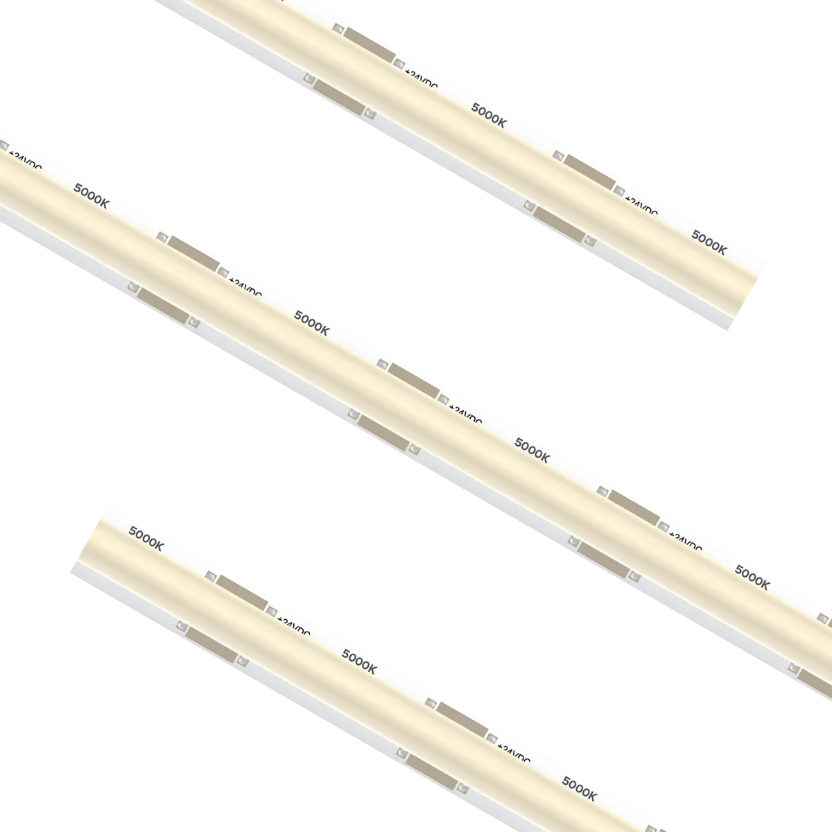 Proluxe PLX-SPTL54-SCOB-50K-24V-16 5M HIGH OUTPUT SMD-COB 5000K, IP54