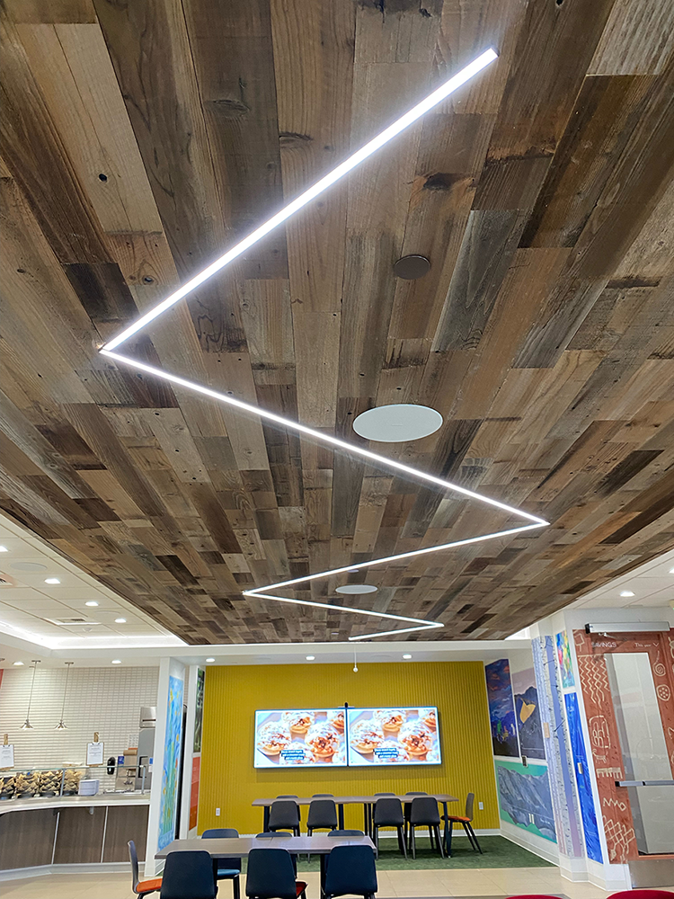 Diode VALENT X 12 Year Warranty / 95+ CRI / High Density Tape Light 24V