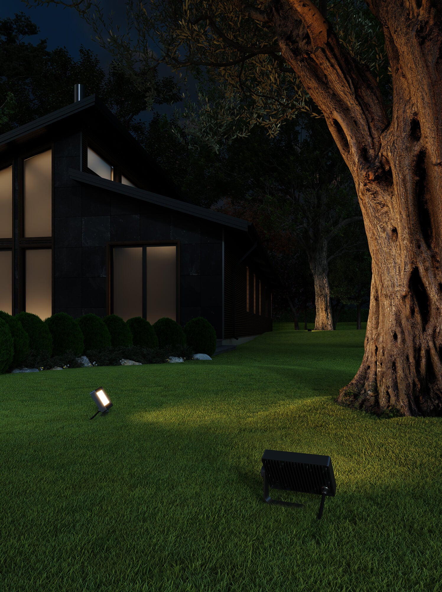 DALS DCP-FLD30-BK 7″ Smart Flood Light