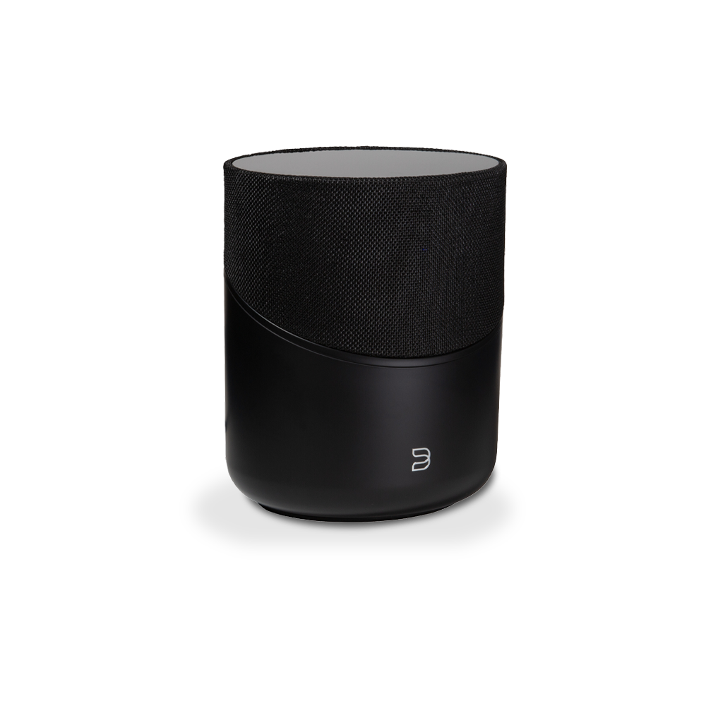 BlueSound Pulse M - Black