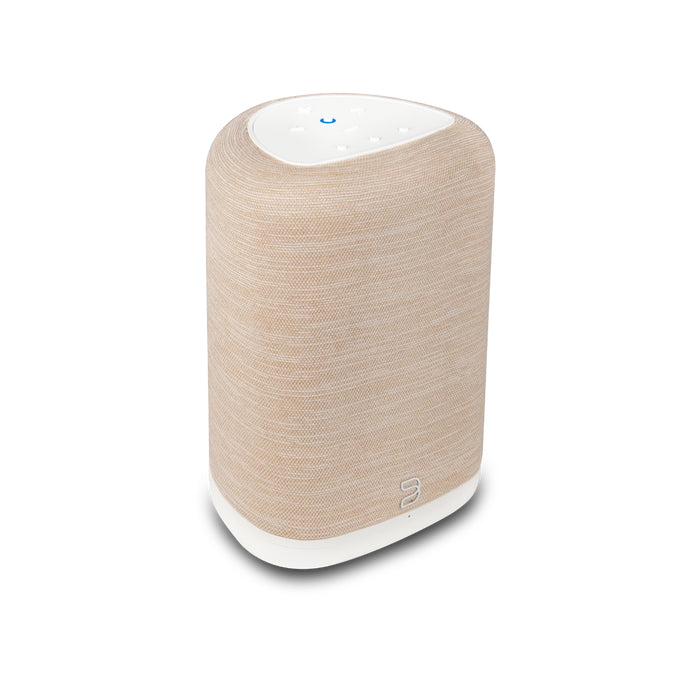 BlueSound Pulse Flex Wireless All-In-One Music Streaming Speaker