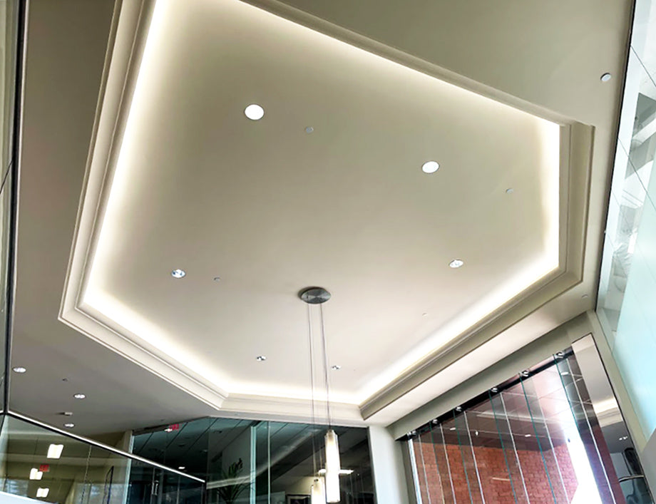 Diode BLAZE 7 Year Warranty / 90+ CRI Tape Light 12V