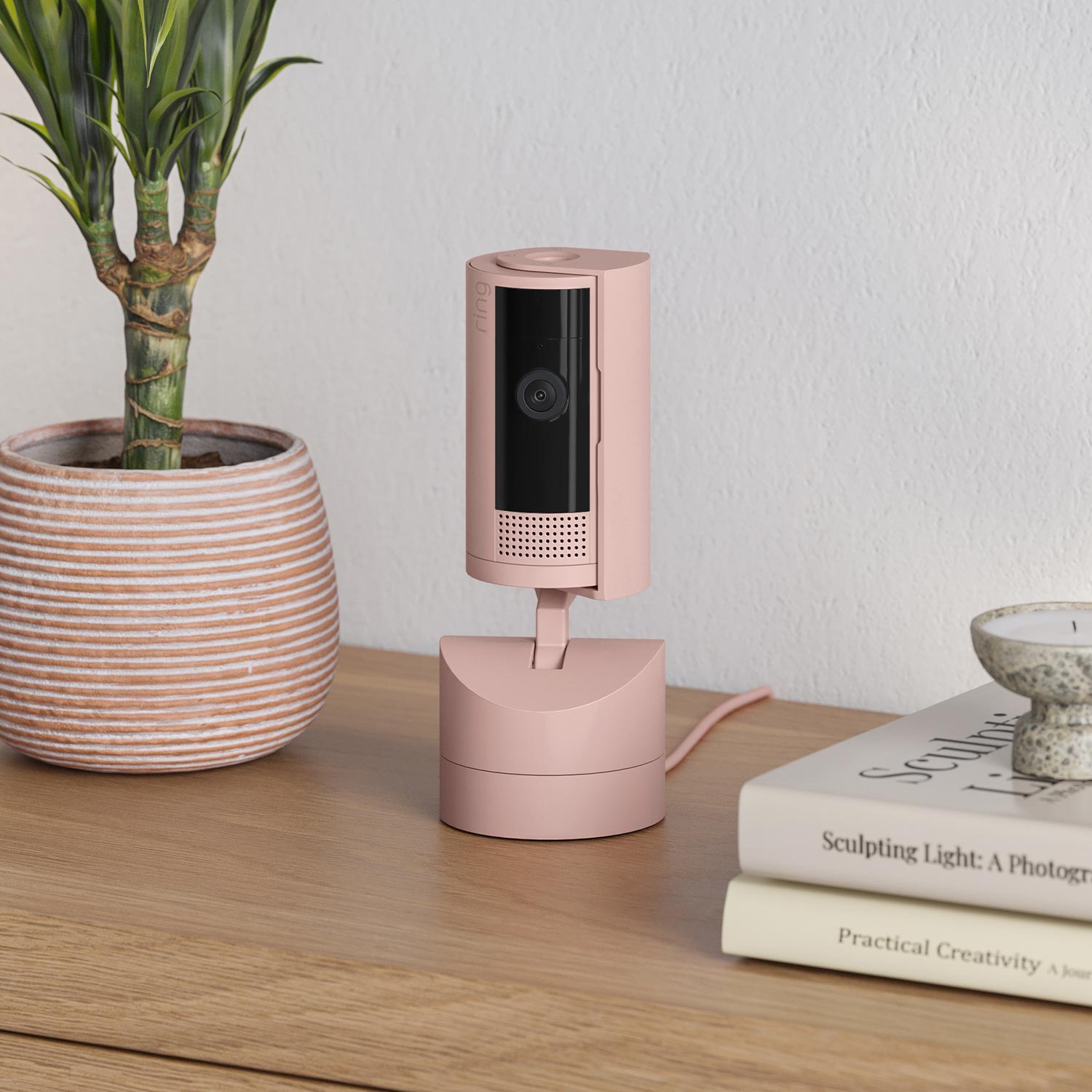 Ring Pan-Tilt Indoor Cam