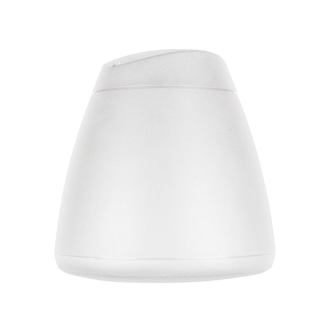 SoundTube RS42-EZ 4" Hanging Speaker, Each