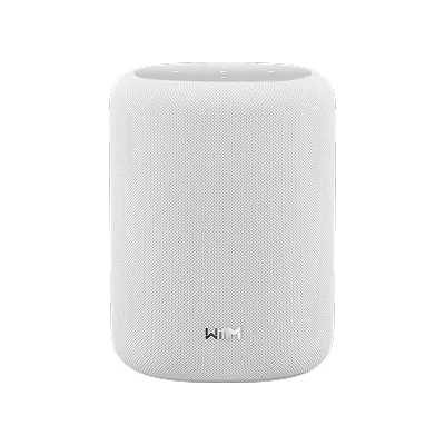 Wiim SOUND LITE Speaker