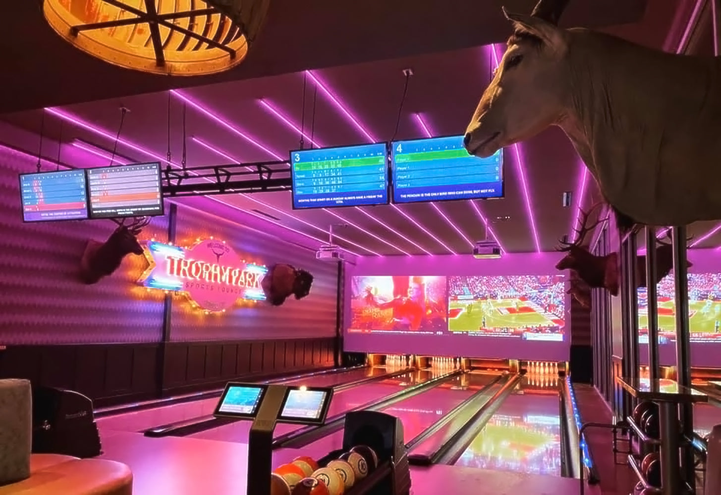 Diode NEON BLAZE Wet Location / IP65 / 5 Year Warranty / 80+ CRI RGB Diffused linear LED Lighting